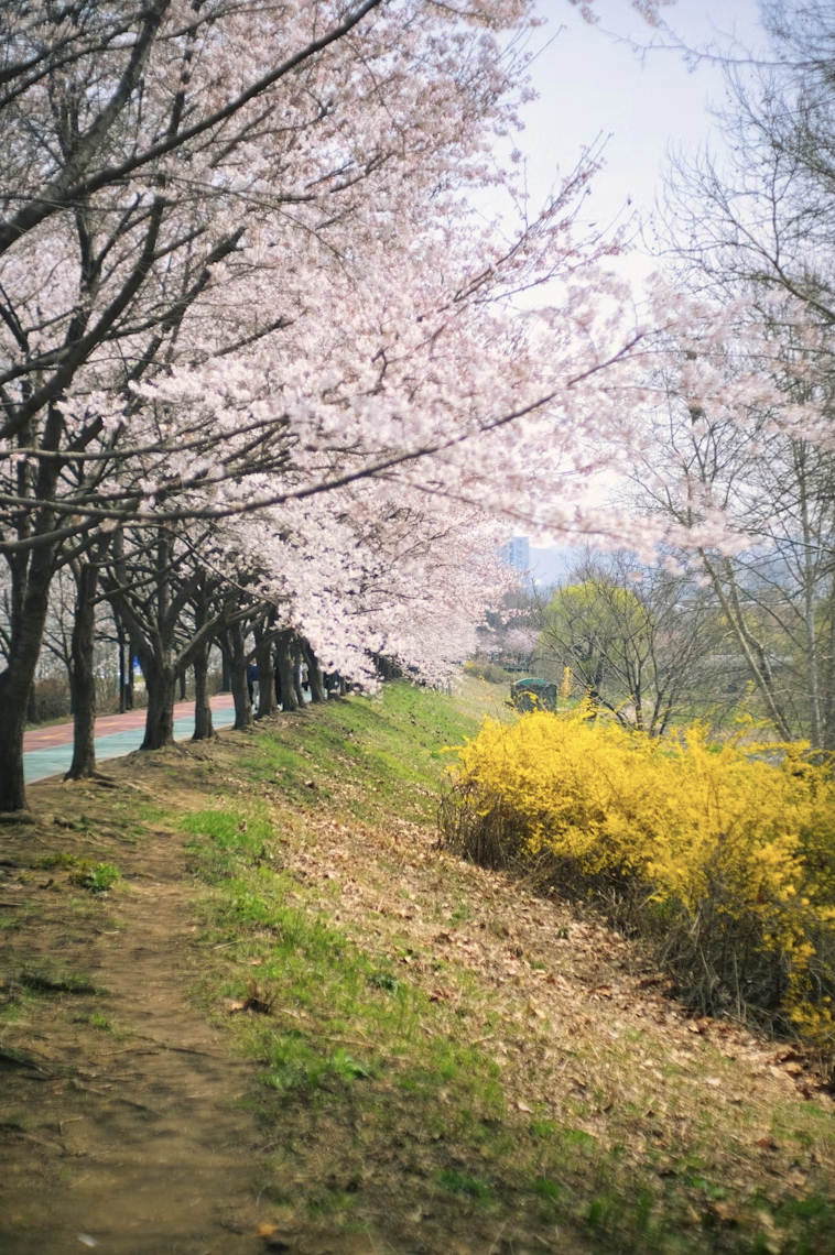 Menciptakan Ritme Harian yang Menyenangkan dengan Langkah Ringan